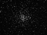 m37 3-19-04-019